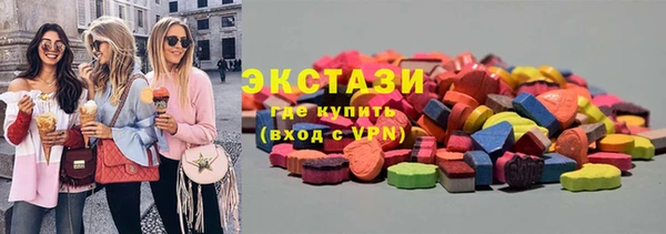 крисы Бородино