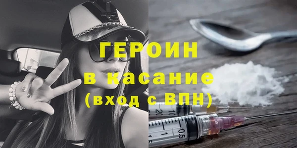 крисы Бородино