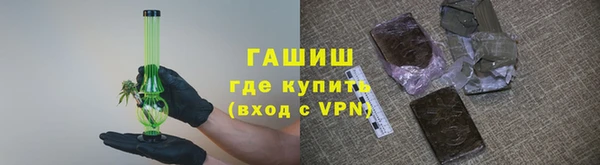 крисы Бородино