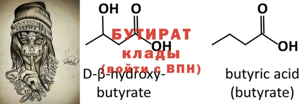 крисы Бородино
