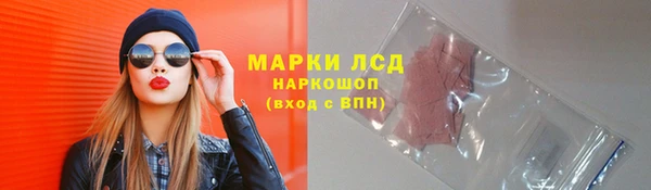 крисы Бородино