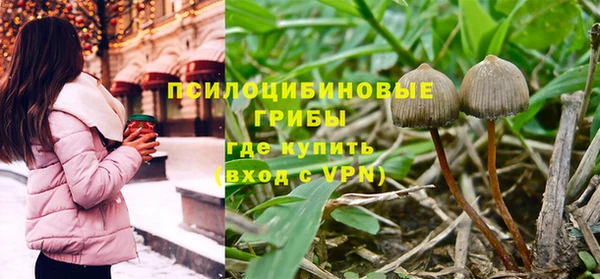 крисы Бородино