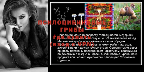крисы Бородино