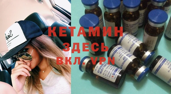 крисы Бородино