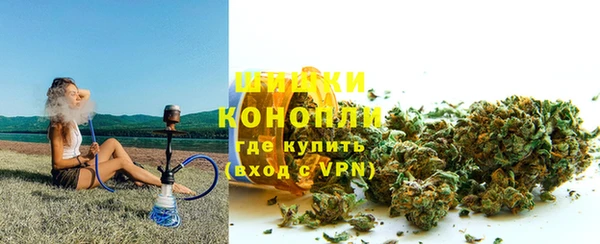 крисы Бородино