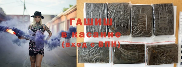 крисы Бородино